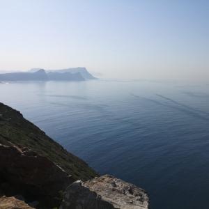 cape elite gallery
