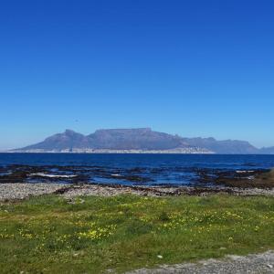 cape elite gallery