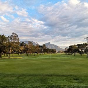 cape elite gallery