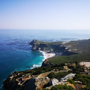 cape elite gallery