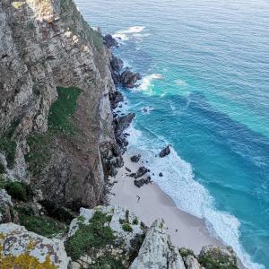 cape elite gallery