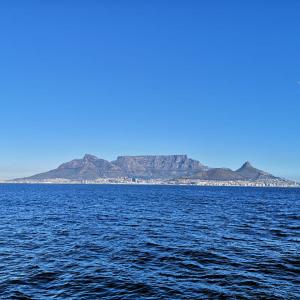 cape elite gallery
