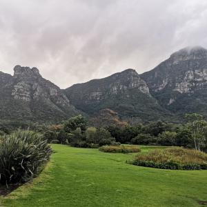 cape elite gallery