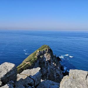 cape elite gallery